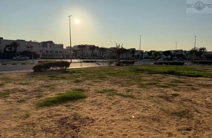 Shop - Studio - 1 Bathroom for rent in Building Q01 - France Cluster - International City - Dubai