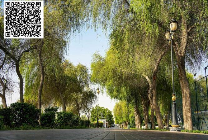 16334025 - Property Main Image