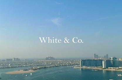 Apartment - 1 Bedroom - 1 Bathroom for sale in Marina Vista Tower 2 - Marina Vista - EMAAR Beachfront - Dubai Harbour - Dubai