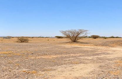 Land - Studio for sale in Manama - Ajman Land - Studio for sale in Manama - Ajman