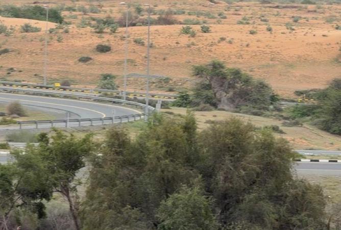 77808160 - Property Image 3