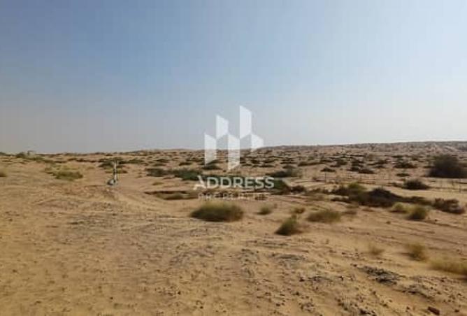 128358385 - صورة العقار 2