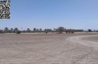 أرض - استوديو للبيع في المنامة - عجمان