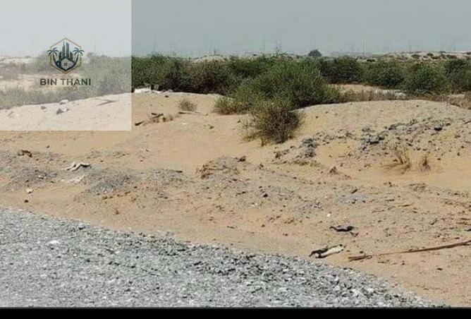 16231538 - Property Image 3