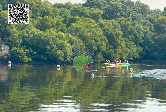 16083388 - الصورة الرئيسية للعقار