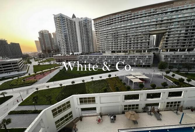137430944 - Property Main Image