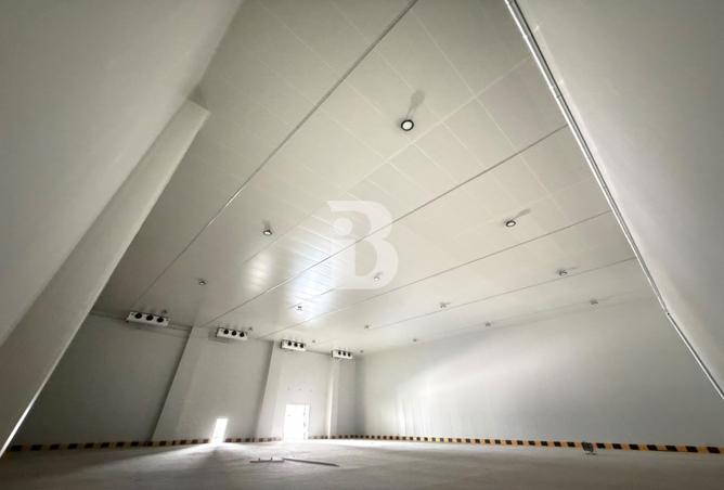 138776264 - Property Image 3