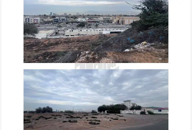 65152717 - صورة العقار 3