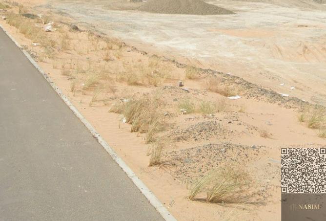 16097776 - Property Image 3