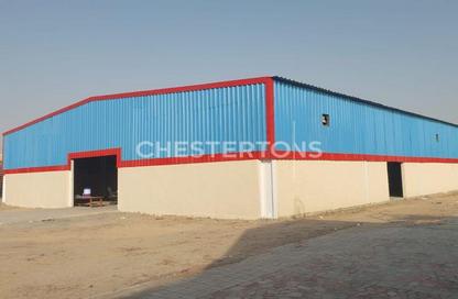Warehouse - Studio for sale in Al Hamriyah - Sharjah