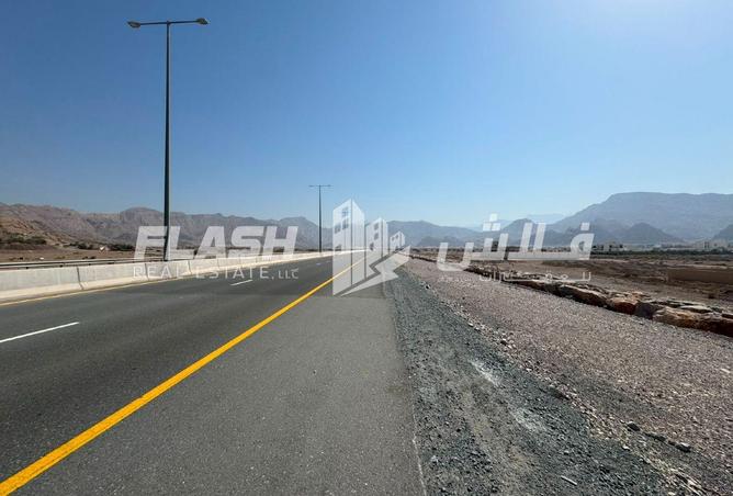 99952728 - صورة العقار 3
