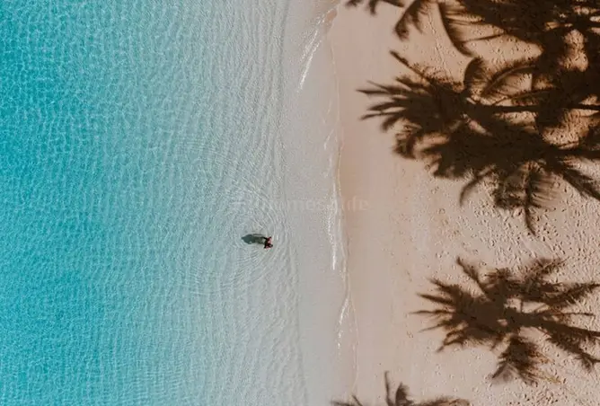 162325549 - صورة العقار 2
