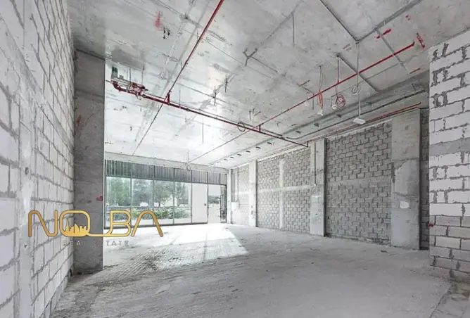 158239244 - Property Image 3