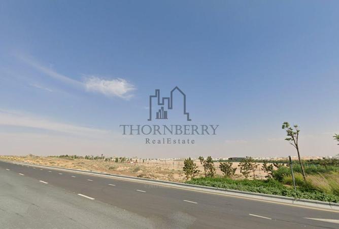 131537312 - Property Image 3