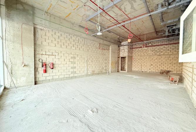 16073566 - Property Image 3