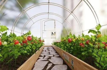محل - استوديو - 1 للبيع في برج Maimoon Gardens Podium - حدائق ميمون من فخر الدين العقاريه - منطقة 11 - قرية جميرا الدائرية - دبي