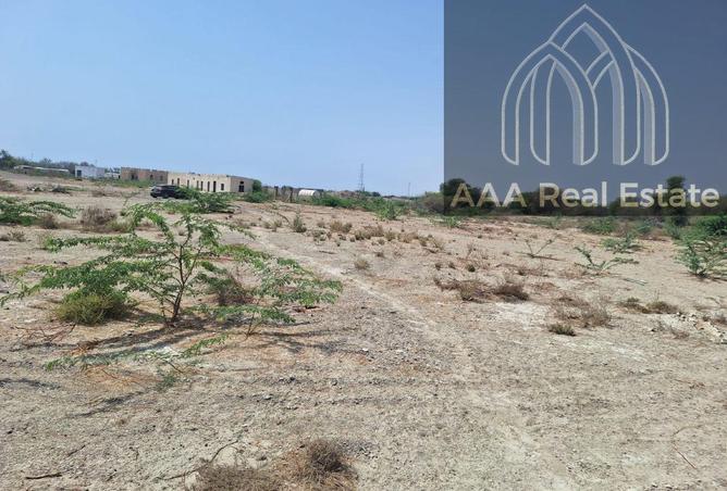 75402803 - صورة العقار 3