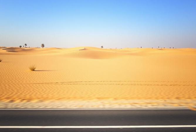 16093329 - Property Image 2