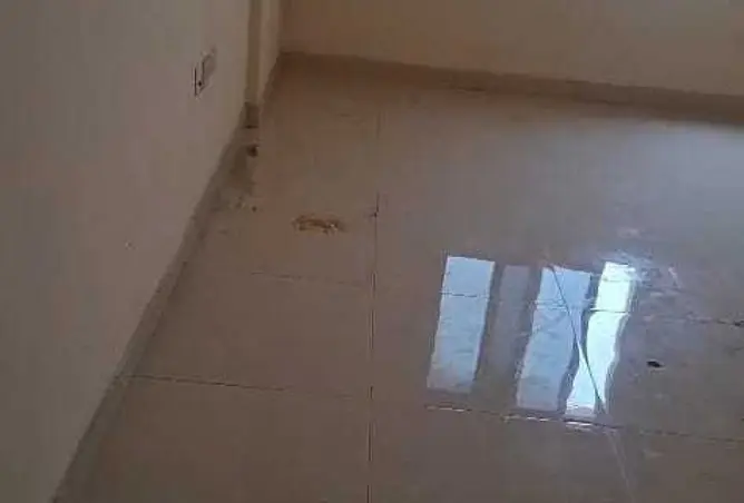 150898983 - Property Image 3