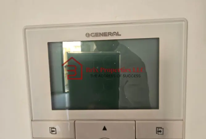 163266308 - Property Image 2