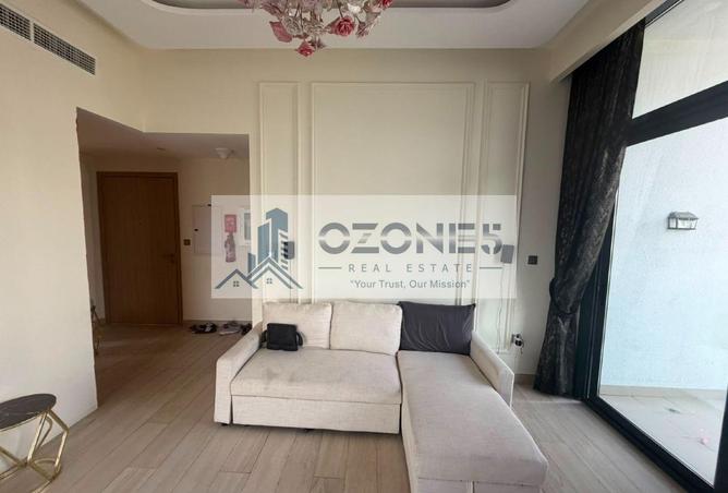 116388456 - Property Image 3
