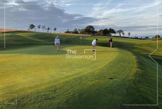 16082995 - صورة العقار 3