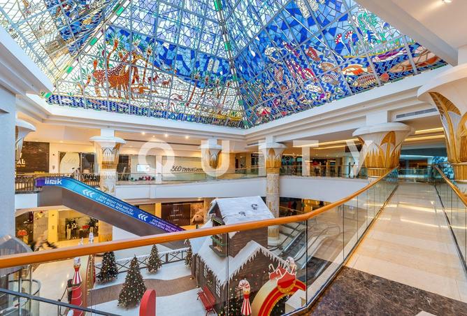 16055022 - صورة العقار 3