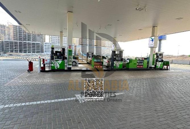 16166685 - Property Image 3