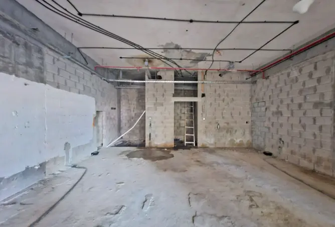 148616325 - Property Image 3