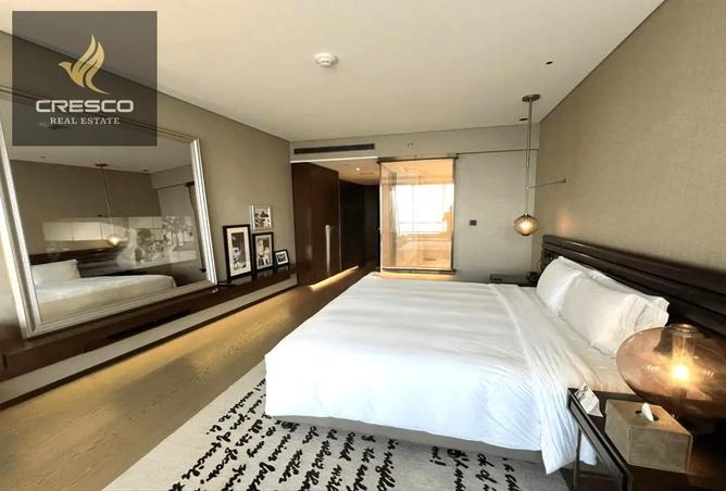 16216189 - Property Image 3