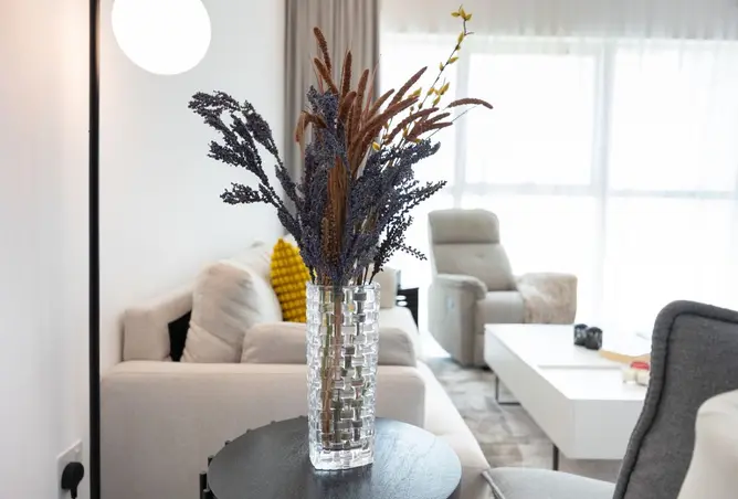 154173726 - Property Image 3