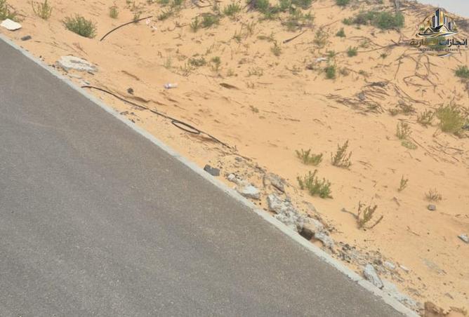 81529296 - Property Image 3