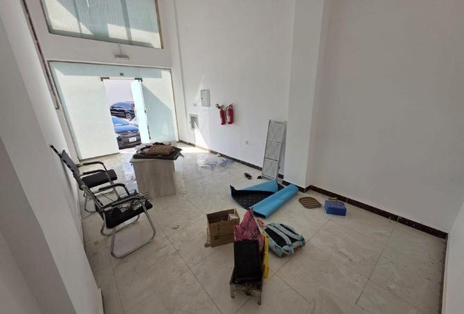 16259241 - Property Image 3