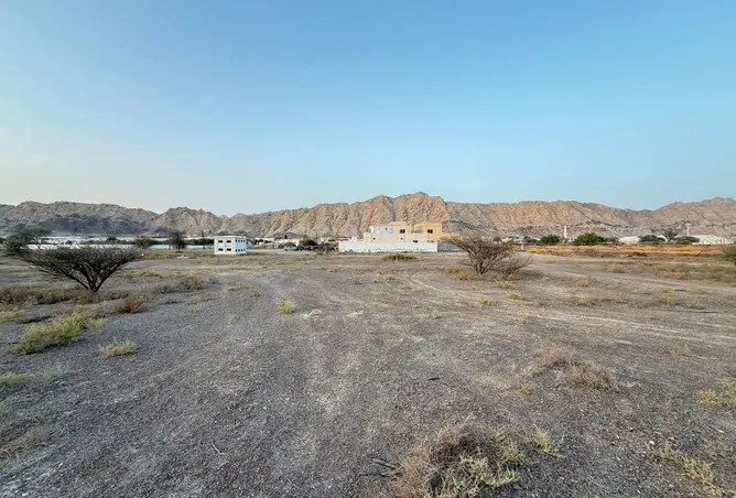 153741635 - Property Image 3