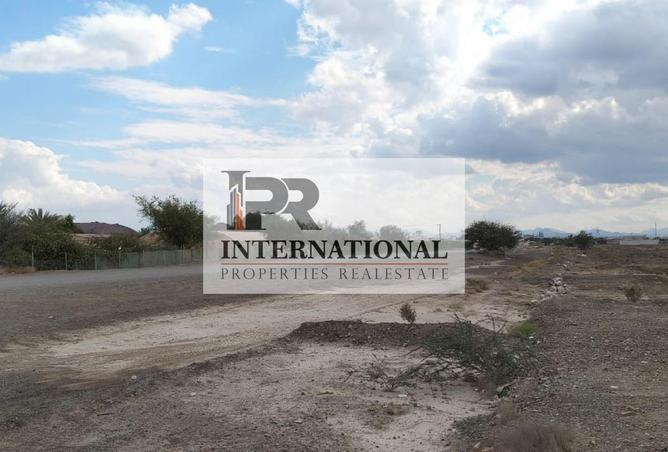 16102959 - Property Image 3