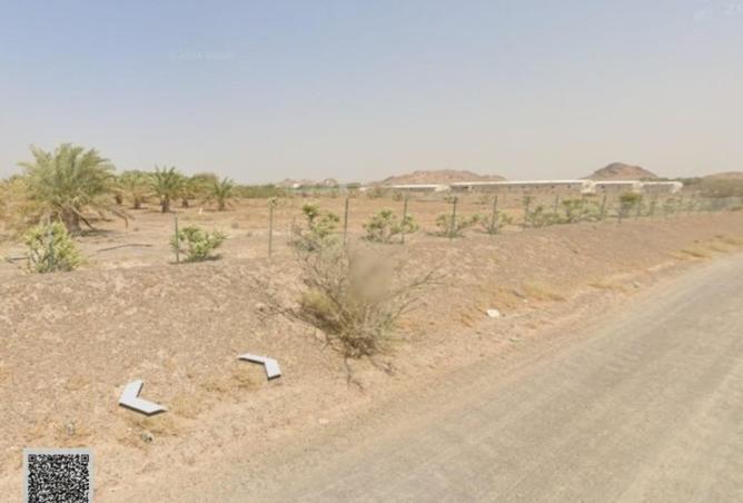 16311890 - صورة العقار 2