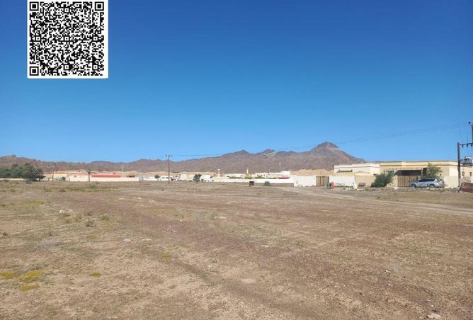 16167596 - صورة العقار 3