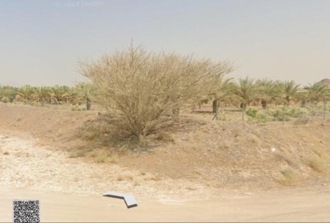 16307060 - الصورة الرئيسية للعقار