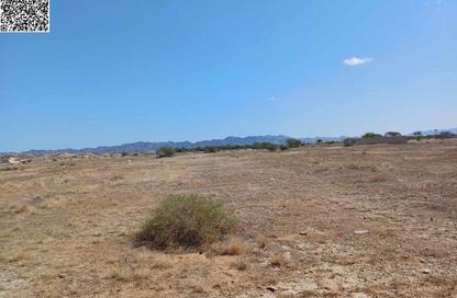 Land - Studio for sale in Masfoot 3 - Masfoot - Ajman