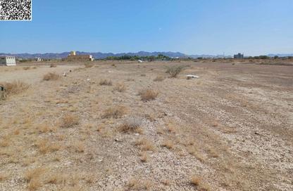 Land - Studio for sale in Masfoot 3 - Masfoot - Ajman