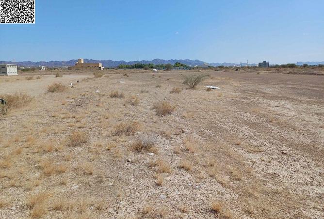 16225064 - Property Image 2