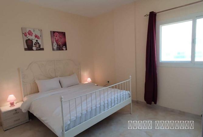 77402189 - صورة العقار 3