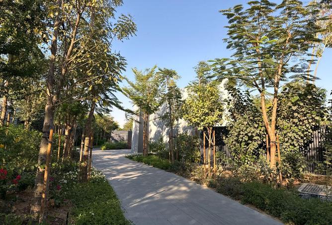 16300671 - صورة العقار 3