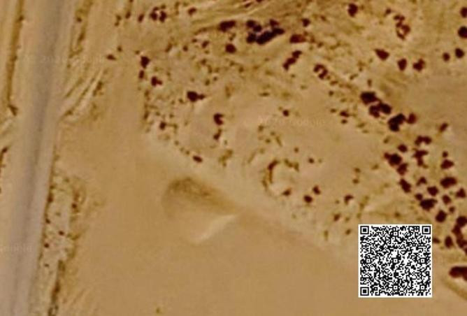 111422373 - Property Image 3