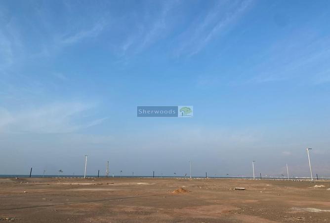 16141163 - صورة العقار 2