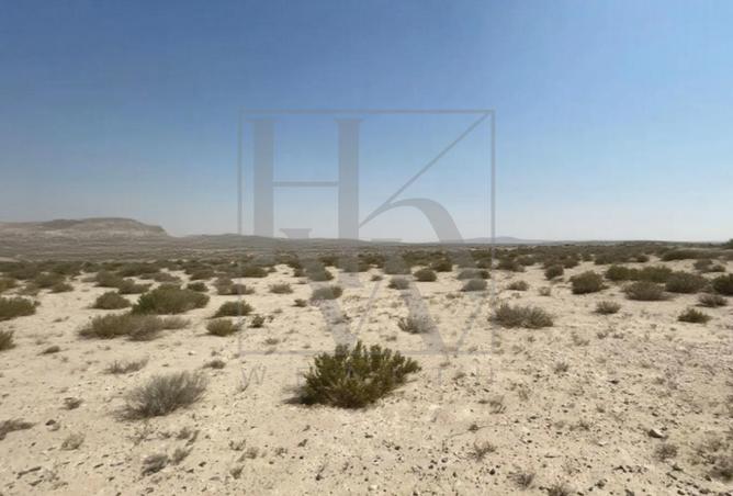 16189383 - Property Image 3