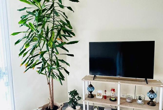 16141480 - صورة العقار 3