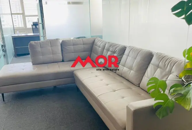 97830277 - Property Image 3