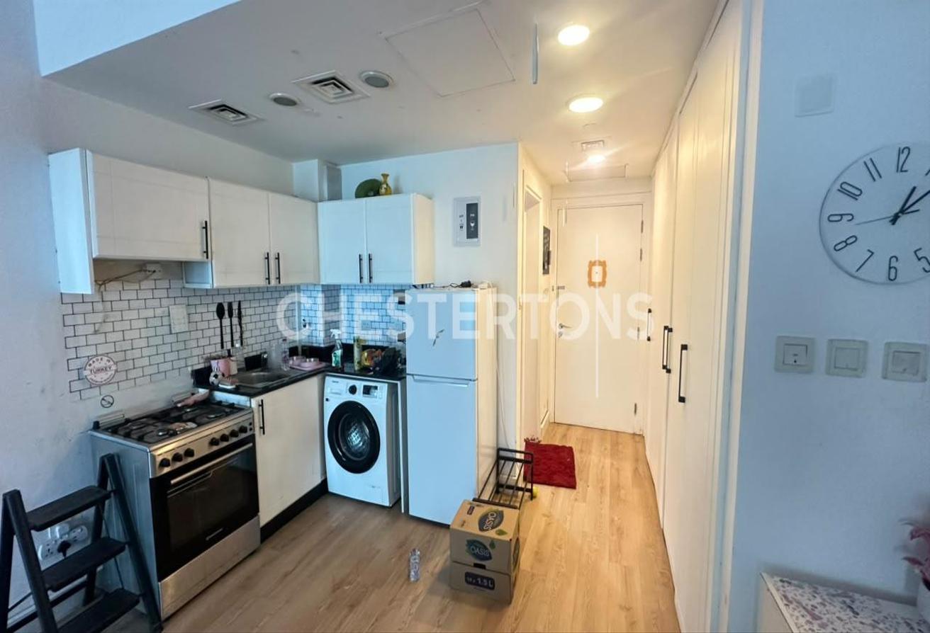 UPGRADED STUDIO | LAKE VIEW | FURNISHED APT photo 5