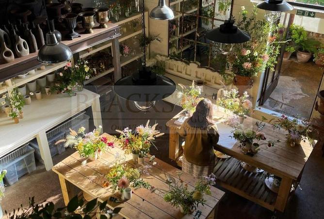 58184772 - Property Main Image